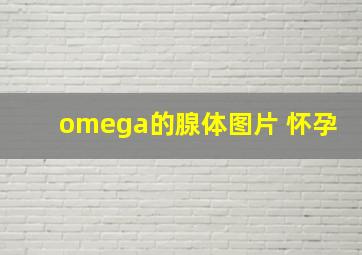 omega的腺体图片 怀孕